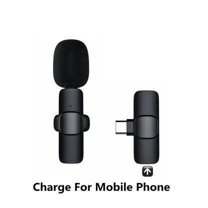 Portable Audio Video Recording Mini Mic