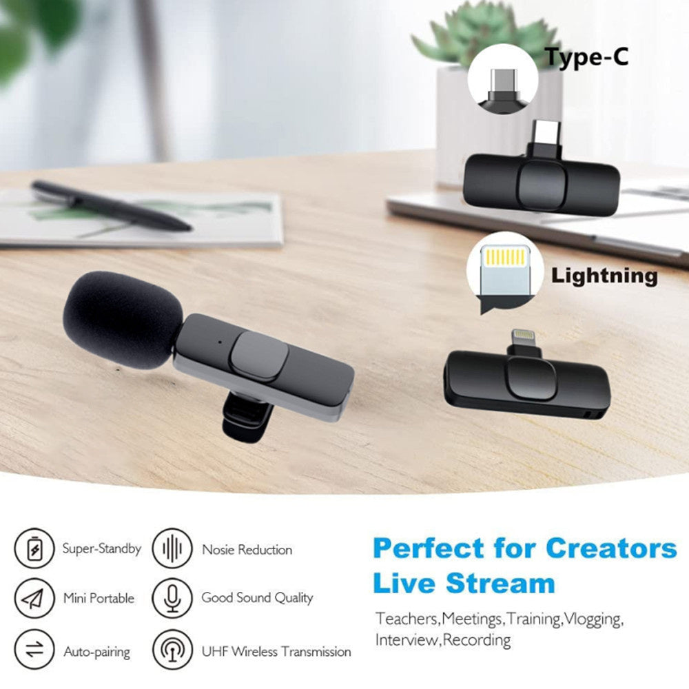 Portable Audio Video Recording Mini Mic