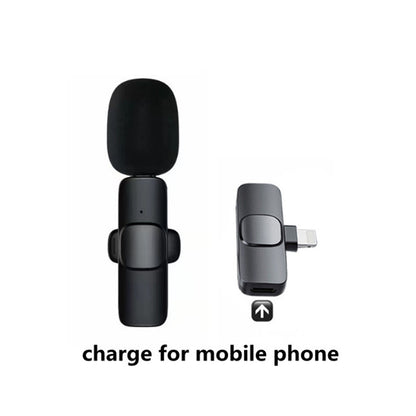 Portable Audio Video Recording Mini Mic