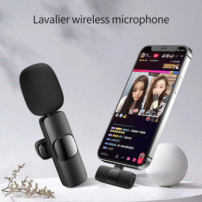 Portable Audio Video Recording Mini Mic